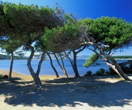 Domaine De La Coudouliere, Calme, Sans Vis A Vis, Proche Mer, Piscine Apartmán Six-Fours-les-Plages